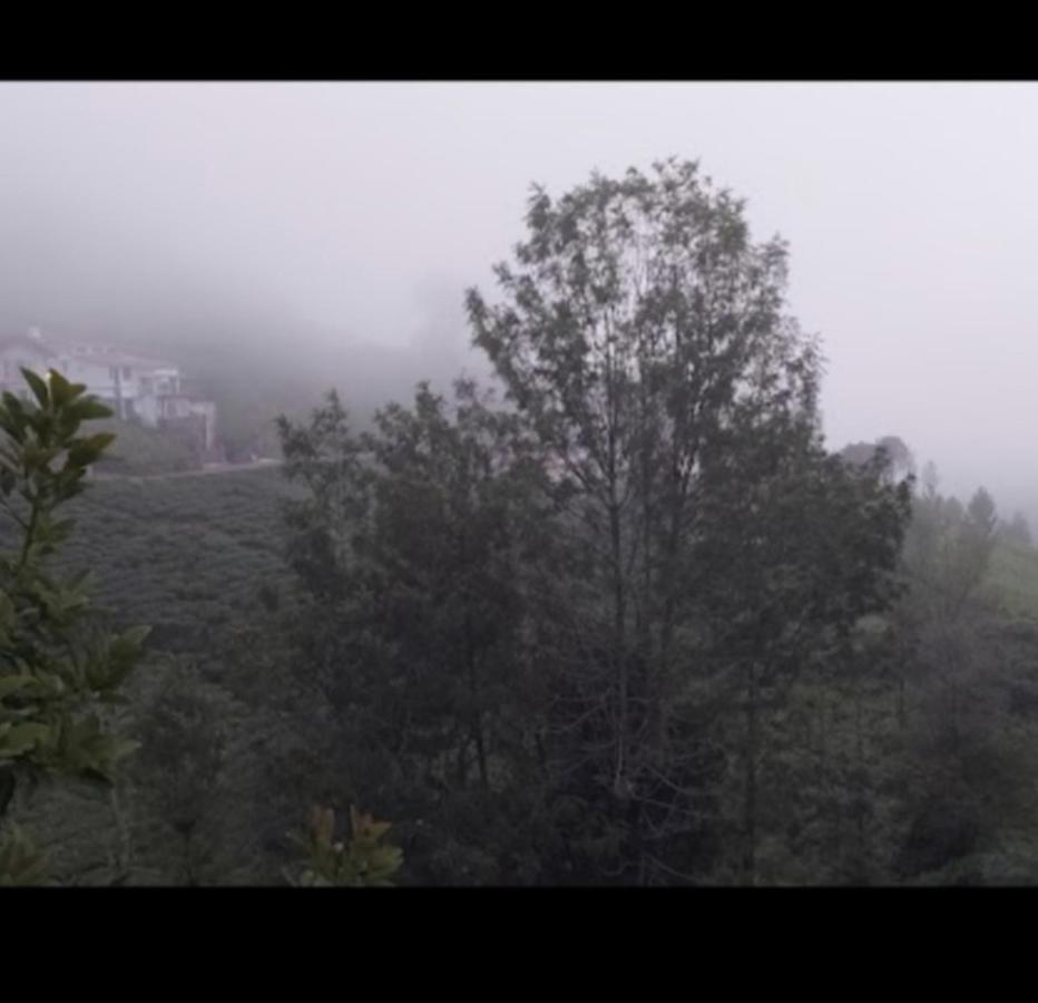 Lodge The Valley Kotagiri